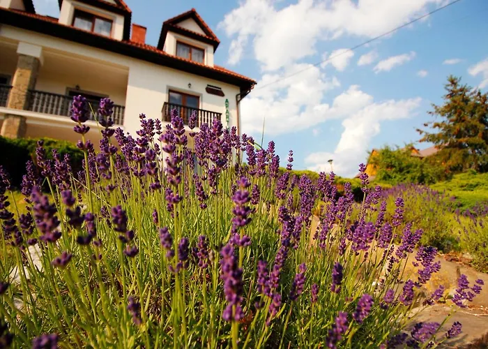 Casa de hóspedes Zofia 3*